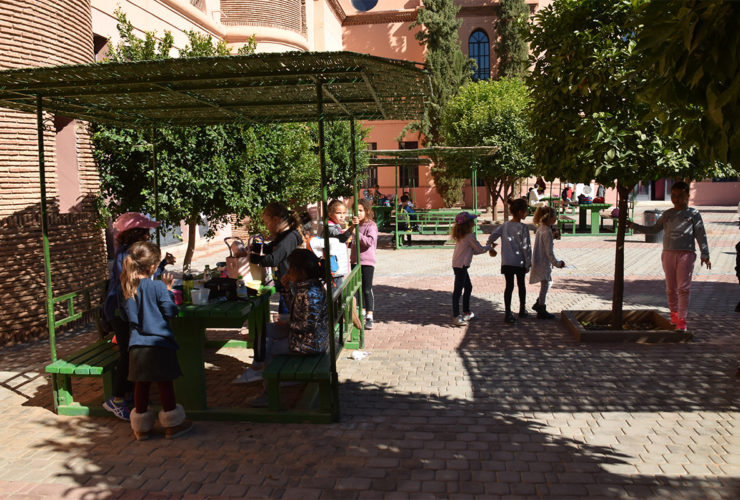 DSC_0043-740x500